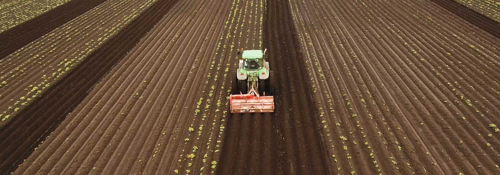 Tractor plowing field